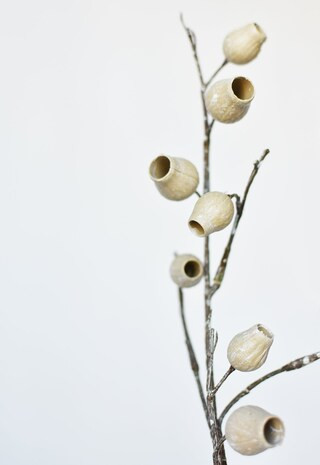 34" Faux Beige Eucalyptus Pod Spray Stem | Michaels | Michaels Stores