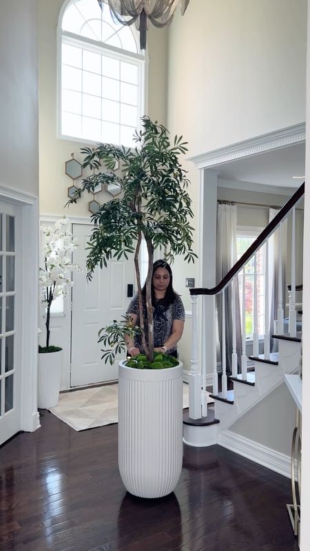 Designer looks for less , tall planter under $100 , indoor and outdoor planter @amazon @walmart #walmarthome 

#LTKVideo #LTKhome #LTKsalealert