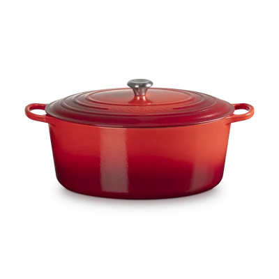 Le Creuset Enameled Cast Iron Oval Dutch Oven with Lid | Wayfair North America