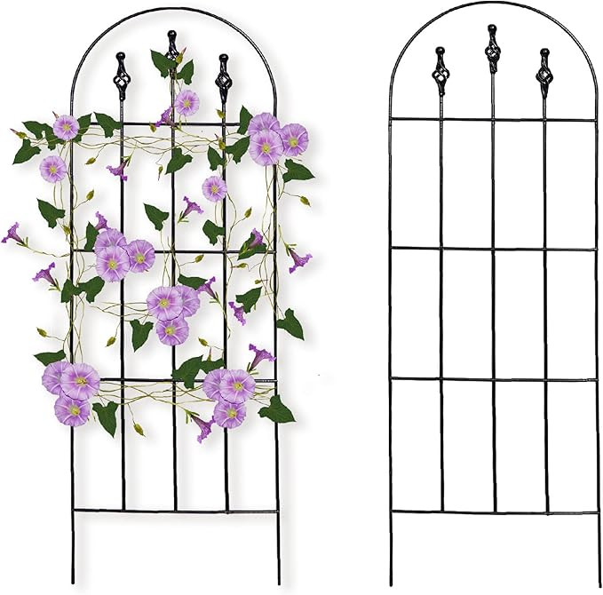 48" H x16 W Trellis,Black Garden Metal Vine Sturdy Trellises for Outdoor Climbing Plants Support ... | Amazon (US)