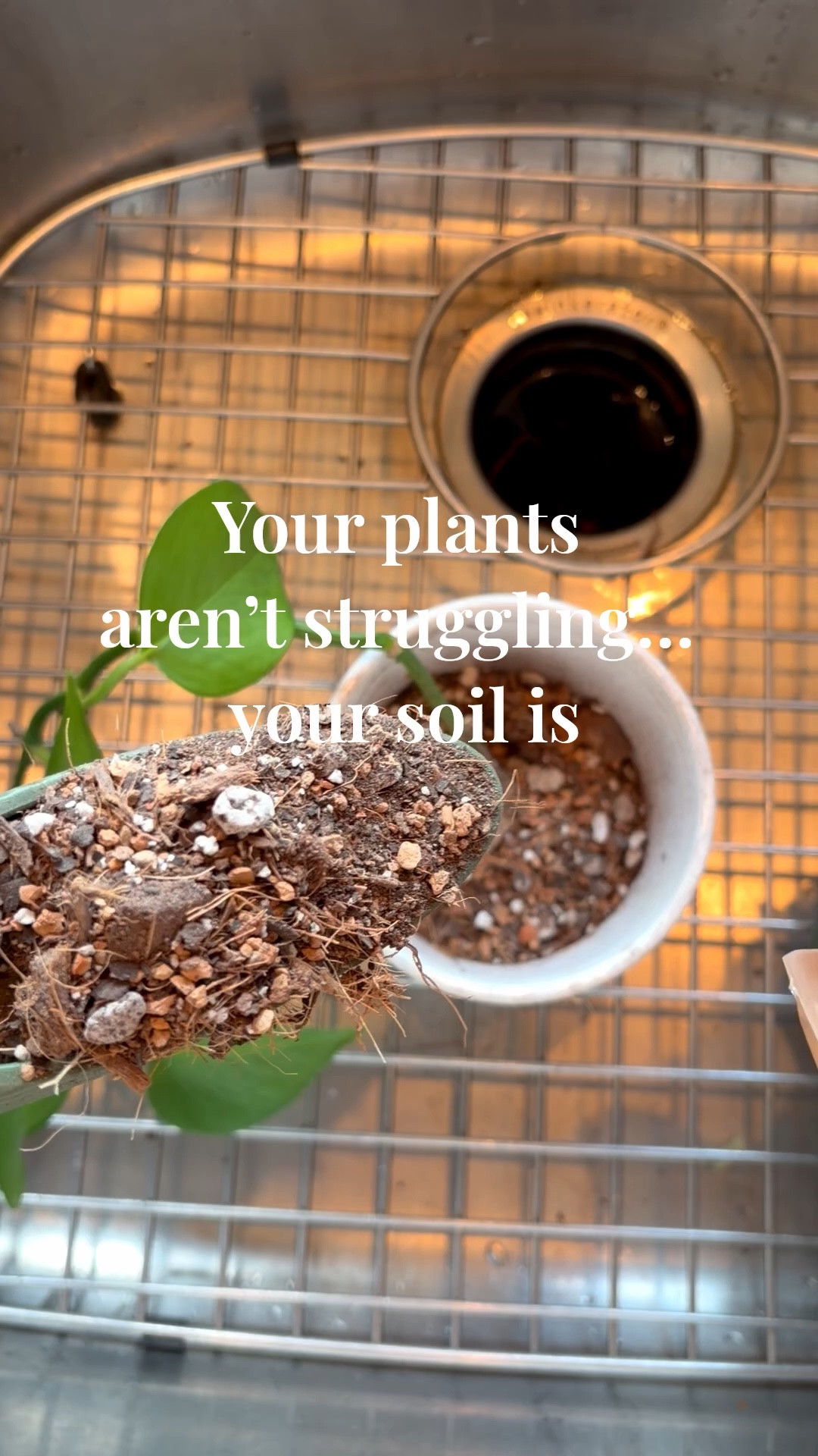 This is the upgrade that actually makes a difference.  @Sol Soils 
Better soil = healthier plants, stronger growth, and a home that feels alive
I only use what works
Shop my plant must-haves on my LTK #SolSoils #PlantCare #IndoorOutdoorLiving

#LTKselfcare #LTKHome #LTKdayinmylife