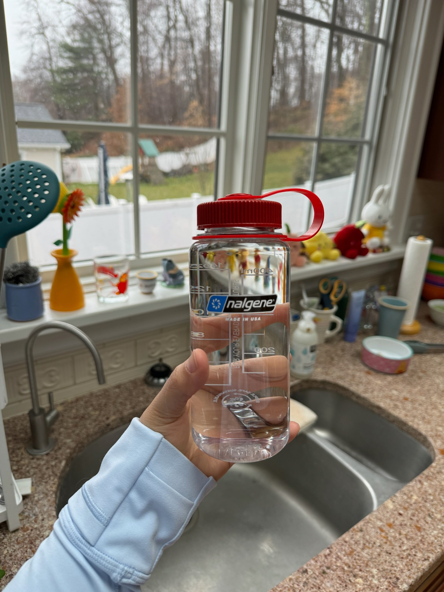 Amazon water bottle I’m loving right now! Affordable and sustainable!

#LTKhome #LTKfitness