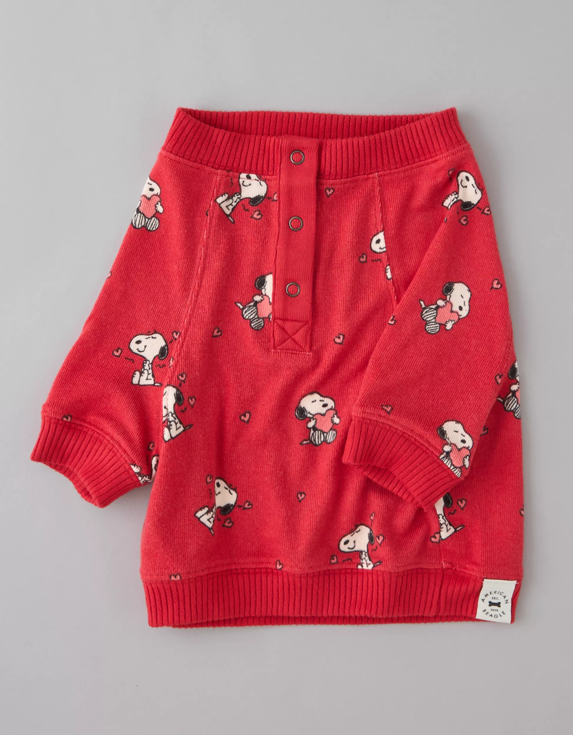 ABO Snoopy Graphic Plush Tee | American Eagle Outfitters (US & CA)