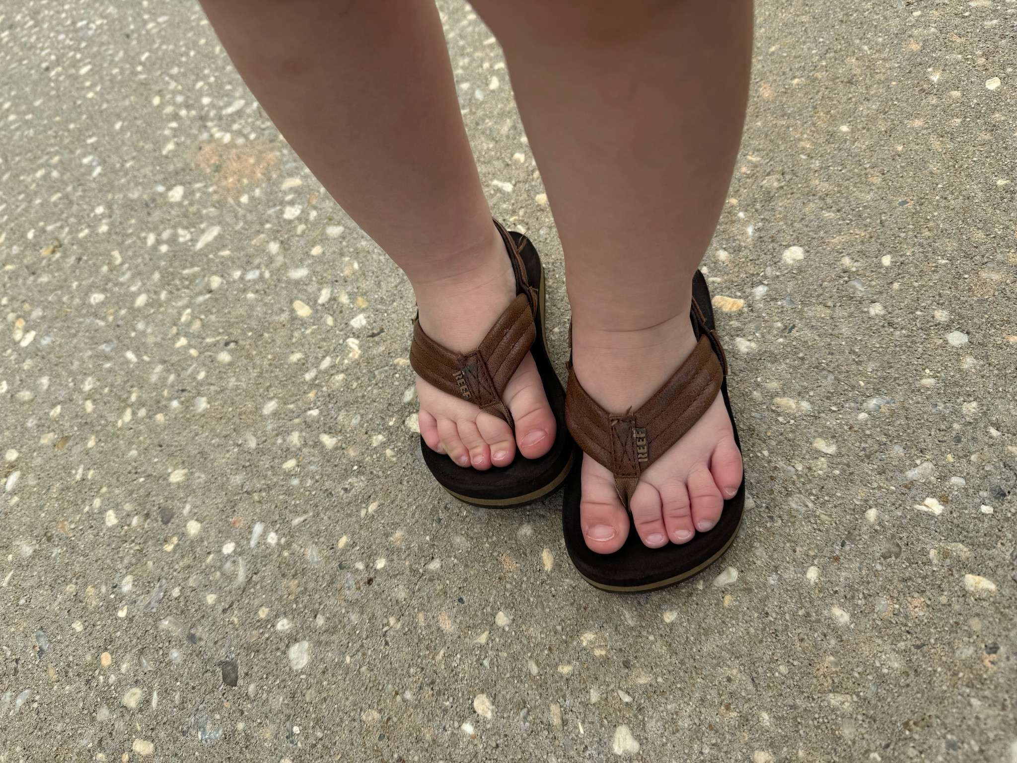 Our absolute favorite flip flops for little feet! They have a back strap that actually stays on and does not give blisters. We sized up and they fit perfectly! 

Summer, toddler shoes, flip flops, daycare, swim 

#LTKSeasonal #LTKShoeCrush #LTKKids