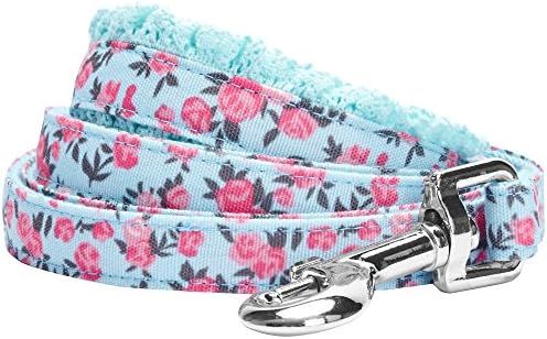Blueberry Pet 5 Patterns Durable Made Well Floral Dog Leashes | Amazon (US)