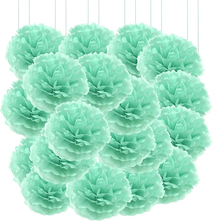 Qimoo 20pcs Mint Green Paper Pom Poms Decorations, DIY Decorative Pom-poms Flowers Ball for Party... | Amazon (US)