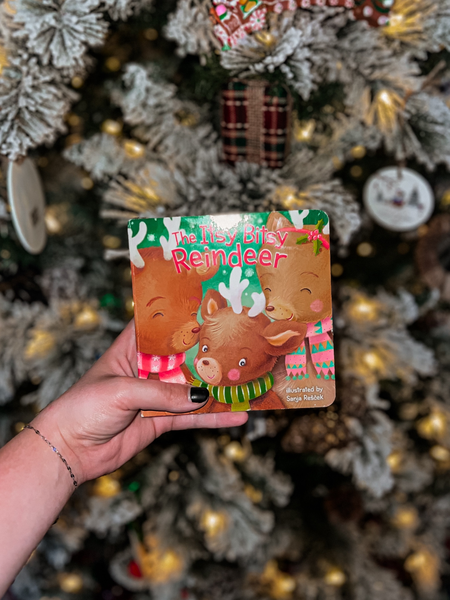 Favorite Christmas book this year! Stocking stuffer, toddler Christmas, Christmas book #LTKToddler #LTKChristmas 

#LTKSeasonal #LTKGiftGuide #LTKKids #LTKHoliday