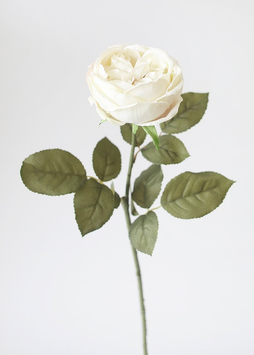 Silk English Cabbage Rose in Eggshell Cream - 25" Tall | Afloral (US)