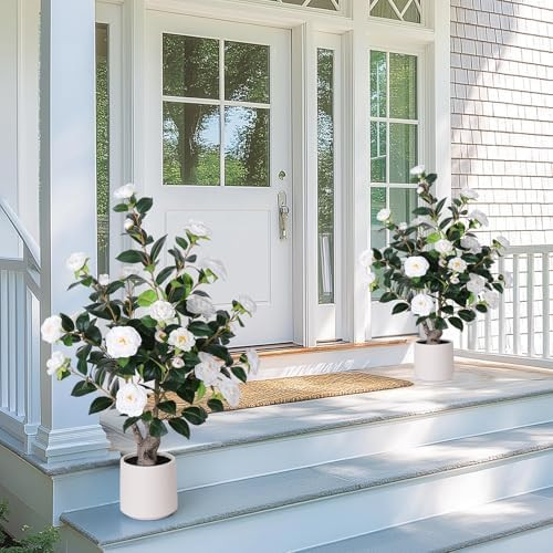Yepdin 2 pcs Pack Artificial Camellia Tree with White Planter - 39 inch Tall Fake Tree,3.2 Ft Art... | Amazon (US)