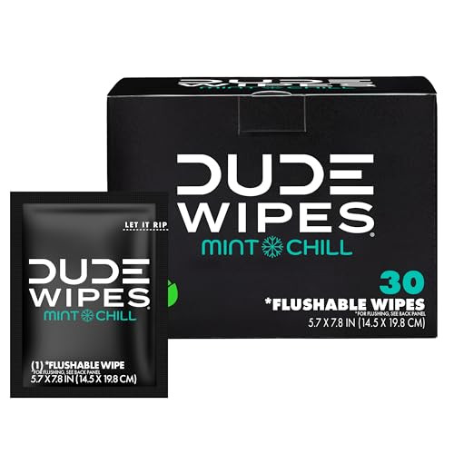 DUDE Wipes On-The-Go Flushable Wipes - 1 Pack, 30 Count - Mint Chill Extra-Large Individually Wra... | Amazon (US)