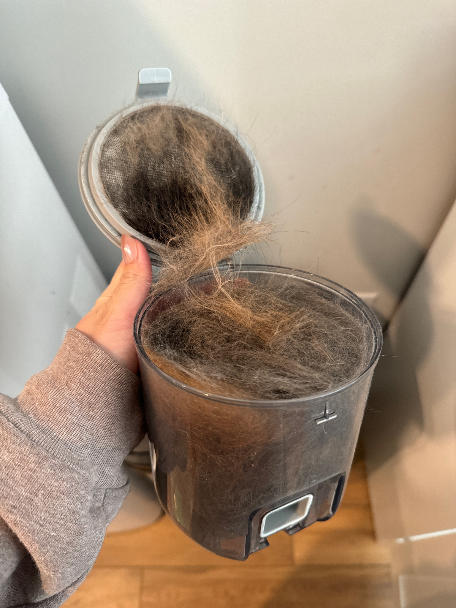 Dog grooming vacuum is a MUST have from Amazon for our 2 dog household 🐶 🐶 

#LTKhome #LTKfamily