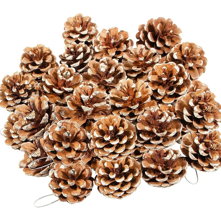 TRIANU 27 Pieces Mini Christmas Snow Pine Cones Natural Pinecones Christmas Ornament 4 to 5 cm Pi... | Walmart (US)