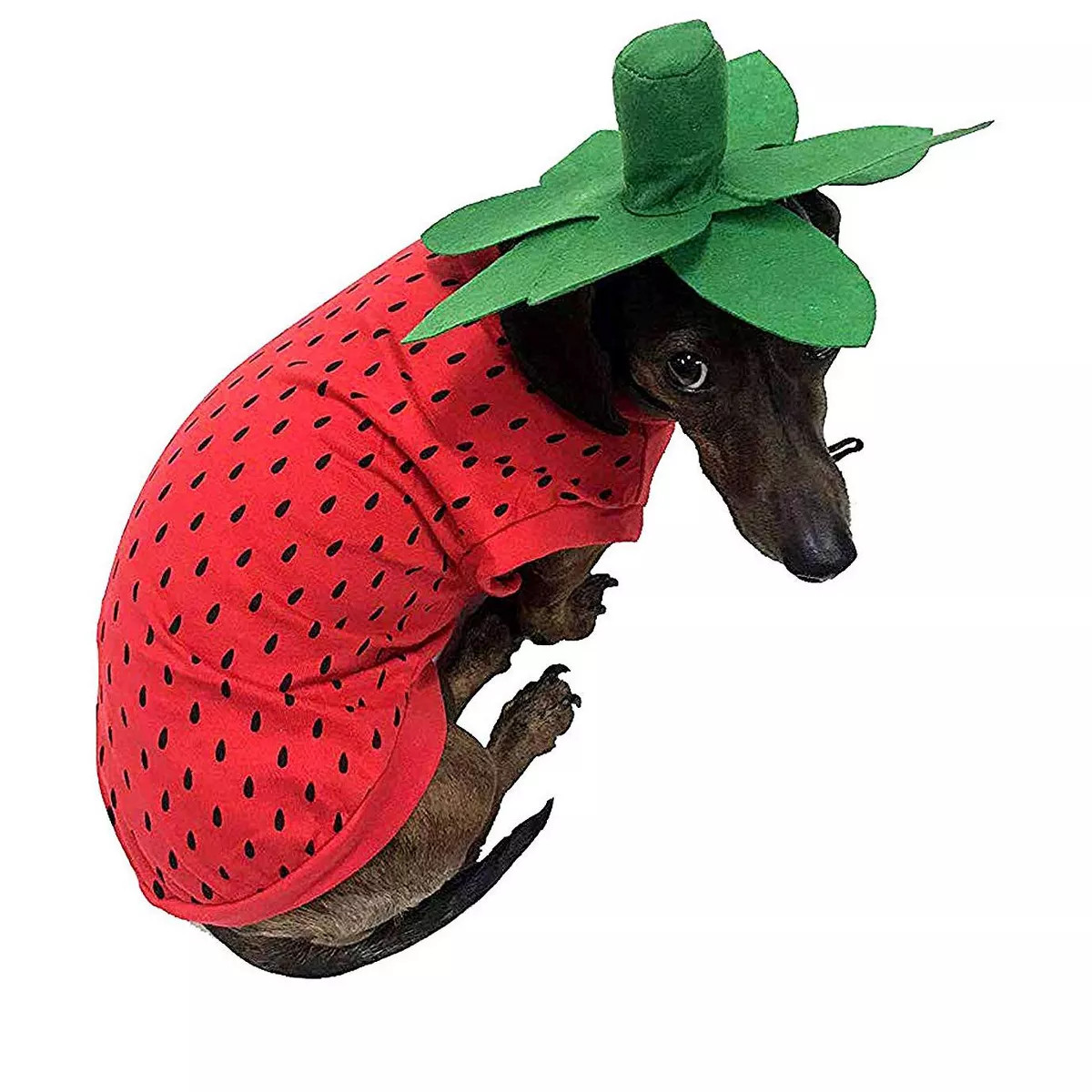 Midlee Strawberry Dog Costume | Target