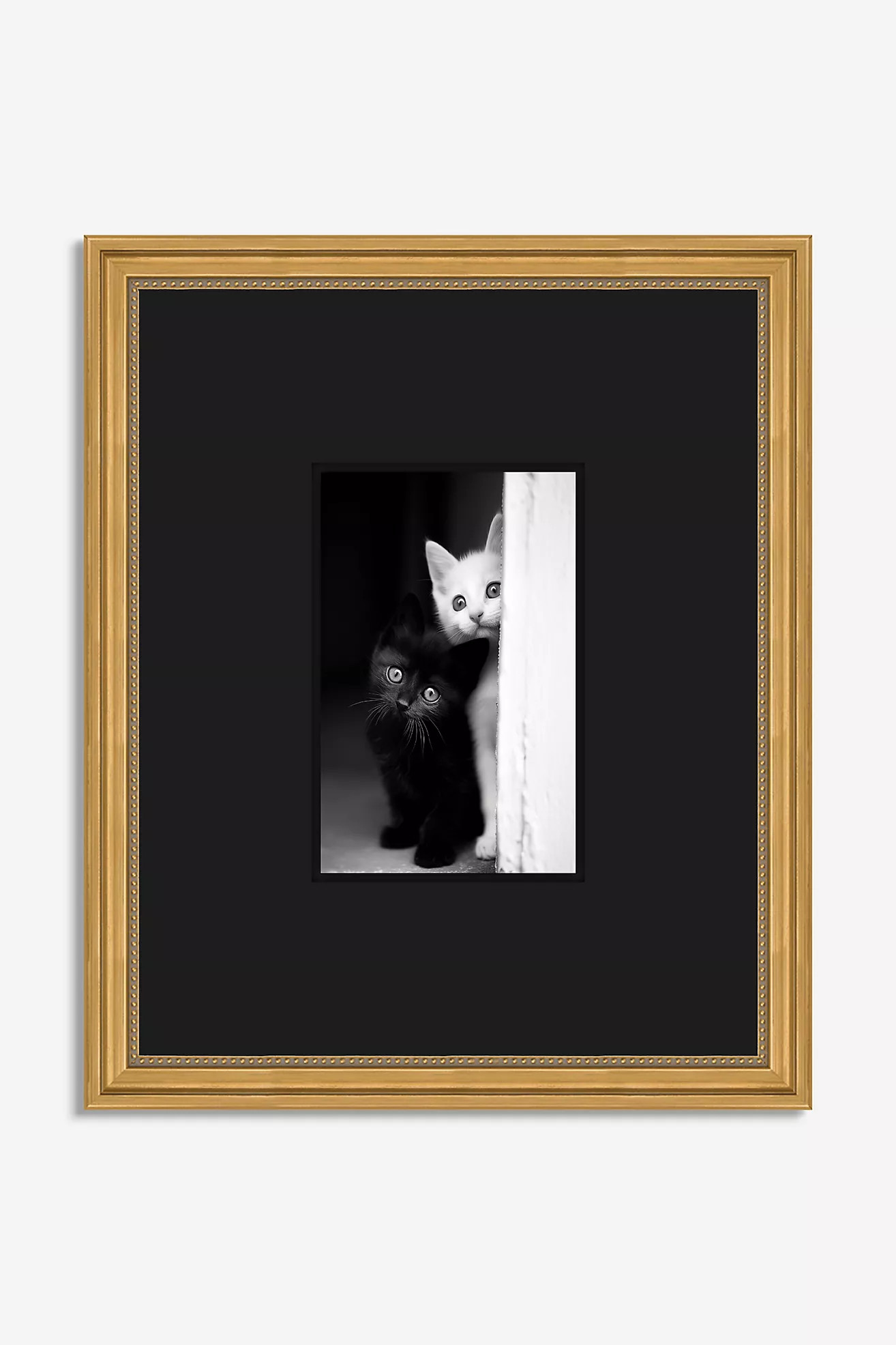 Feline Feature Peep Wall Art | Anthropologie (US)