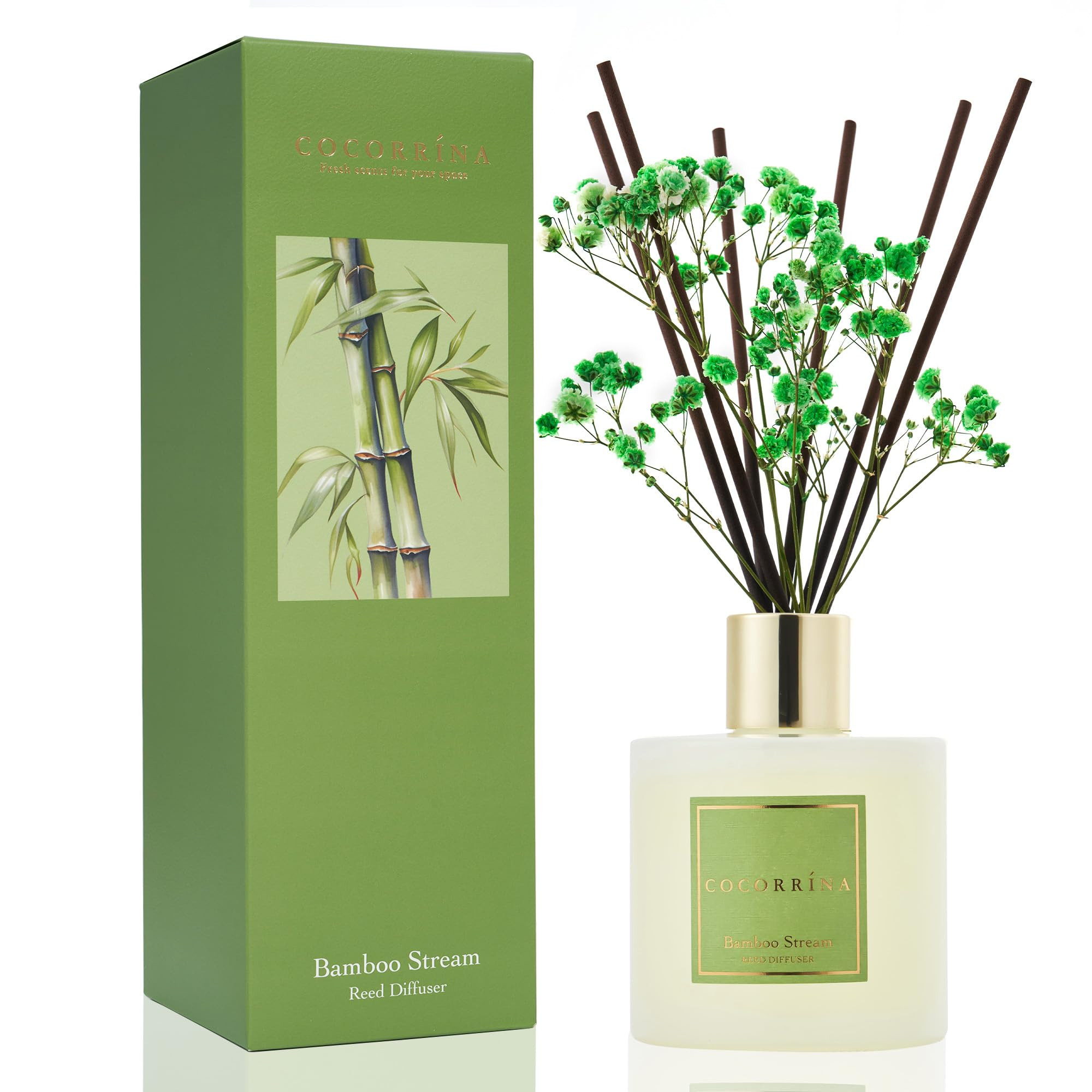 Cocorrína Reed Diffuser - Bamboo Stream Scented Diffuser with 8 Sticks Home Fragrance Reed Diffu... | Amazon (US)