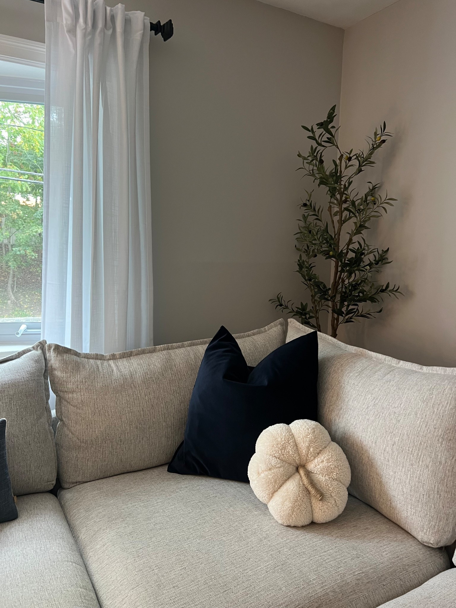 Pumpkin pillow
Home decor
Natural home decor
Fall decor
Fall pillow


#LTKSeasonal #LTKHome #LTKHalloween