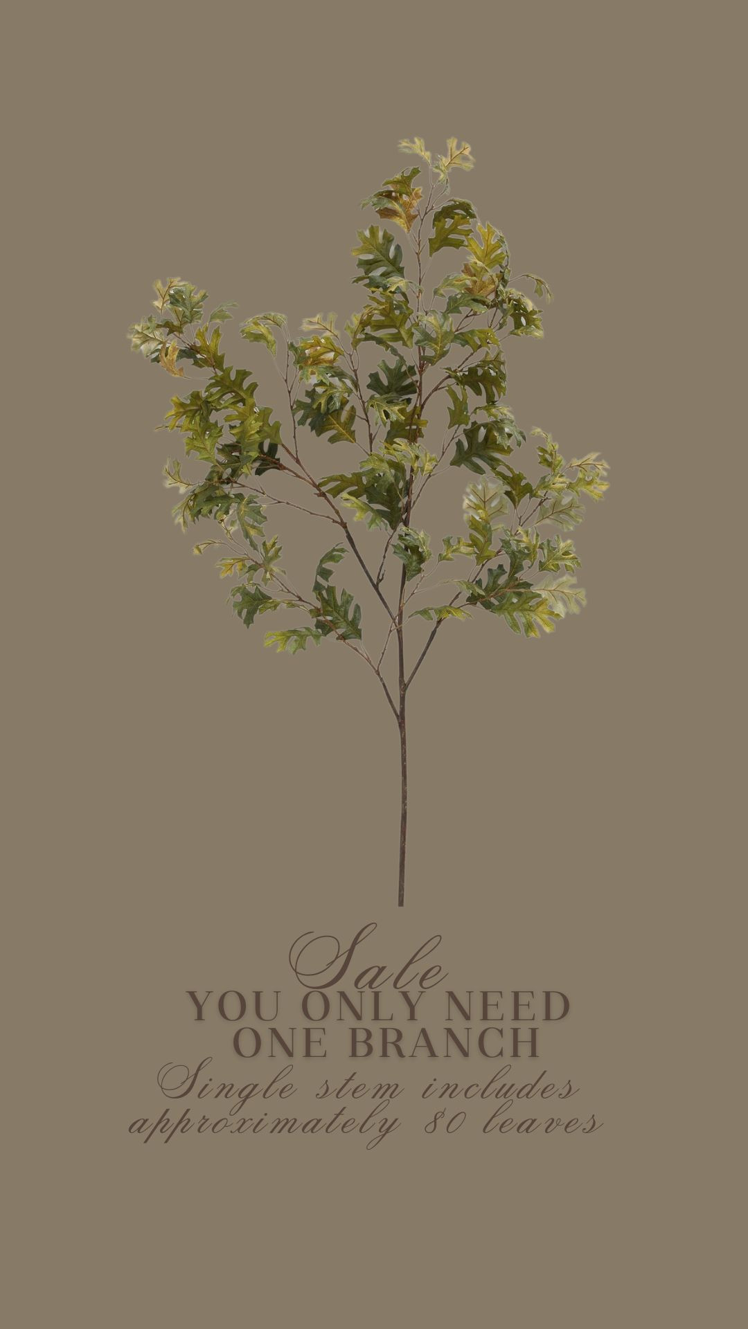 Perfect floral to transfer into fall 


fall-stem-floral-autumn 

 #LTKSeasonal #LTKSaleAlert