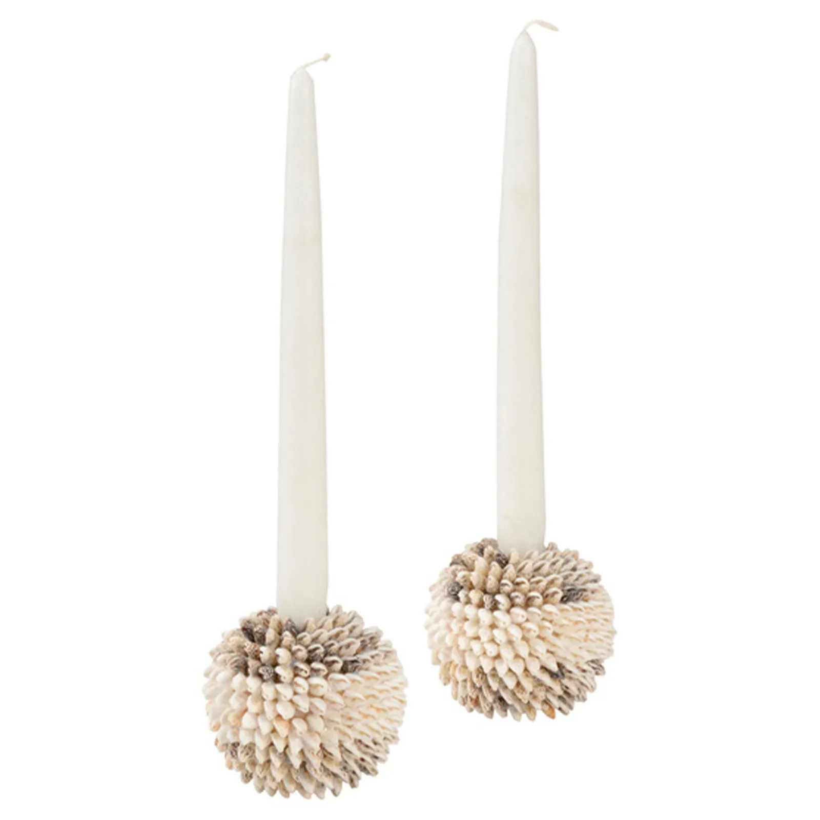 Brienna Coastal Natural Shells Candlestick Candleholder - Set of 2 | Kathy Kuo Home