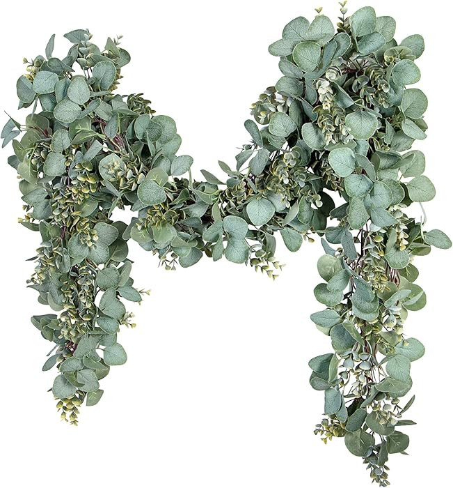 Ouddy Decor Eucalyptus Garland 6.56 Ft Lush Silver Dollar Leaves Boxwood Artificial Faux Greenery... | Amazon (US)