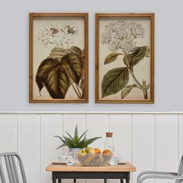 Simple Botanics Wood Framed Wall Art Set of 2 | Antique Farm House