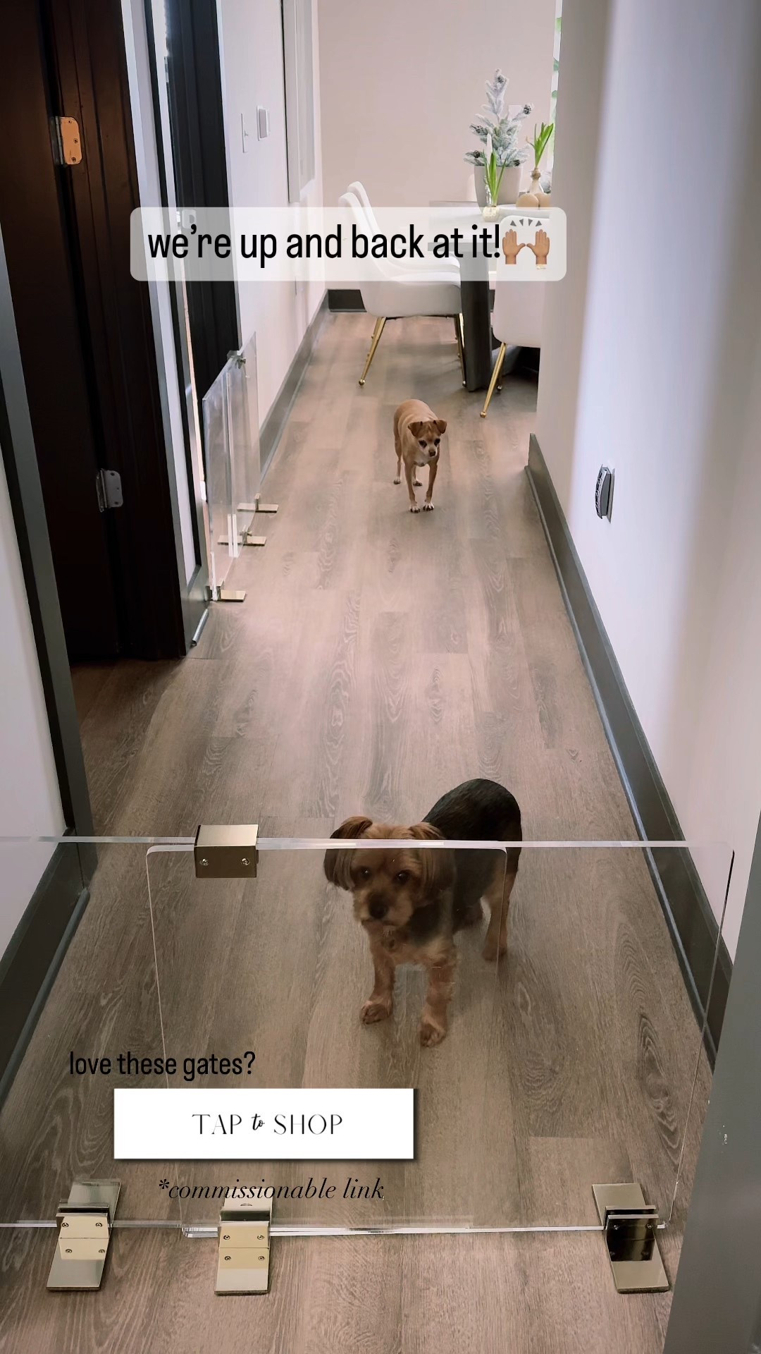 Clear Dog Room Dividers and Gates 
#LTKWatchNow

#LTKStyleTip #LTKPets #LTKHome