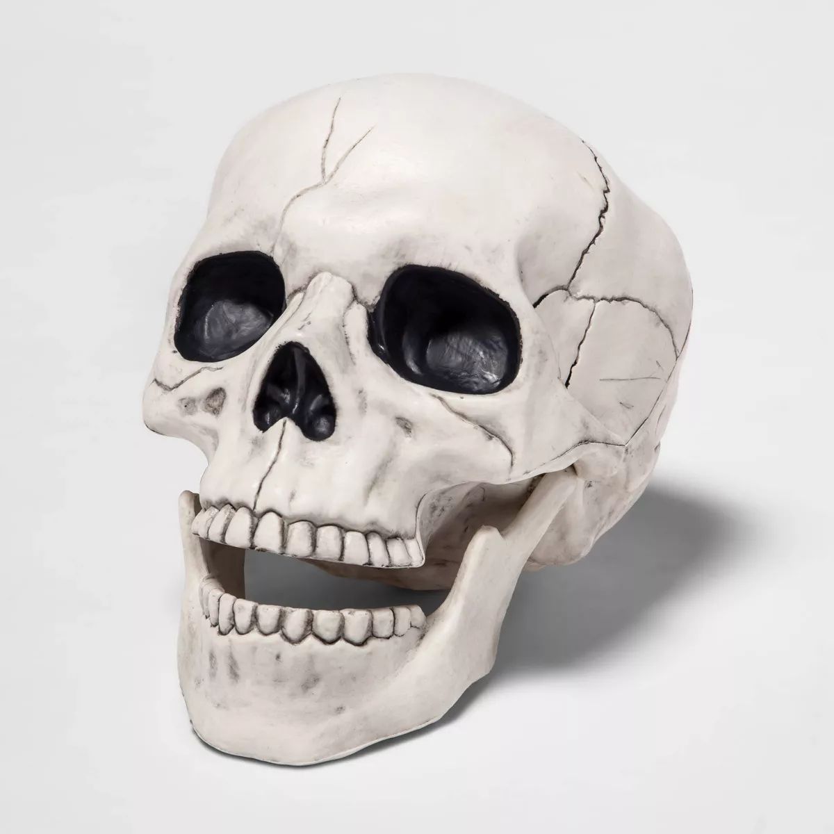 Skull Halloween Decorative Prop - Hyde & EEK! Boutique™ | Target