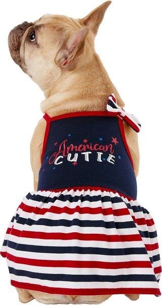 Frisco American Cutie Dog & Cat Sundress | Chewy.com