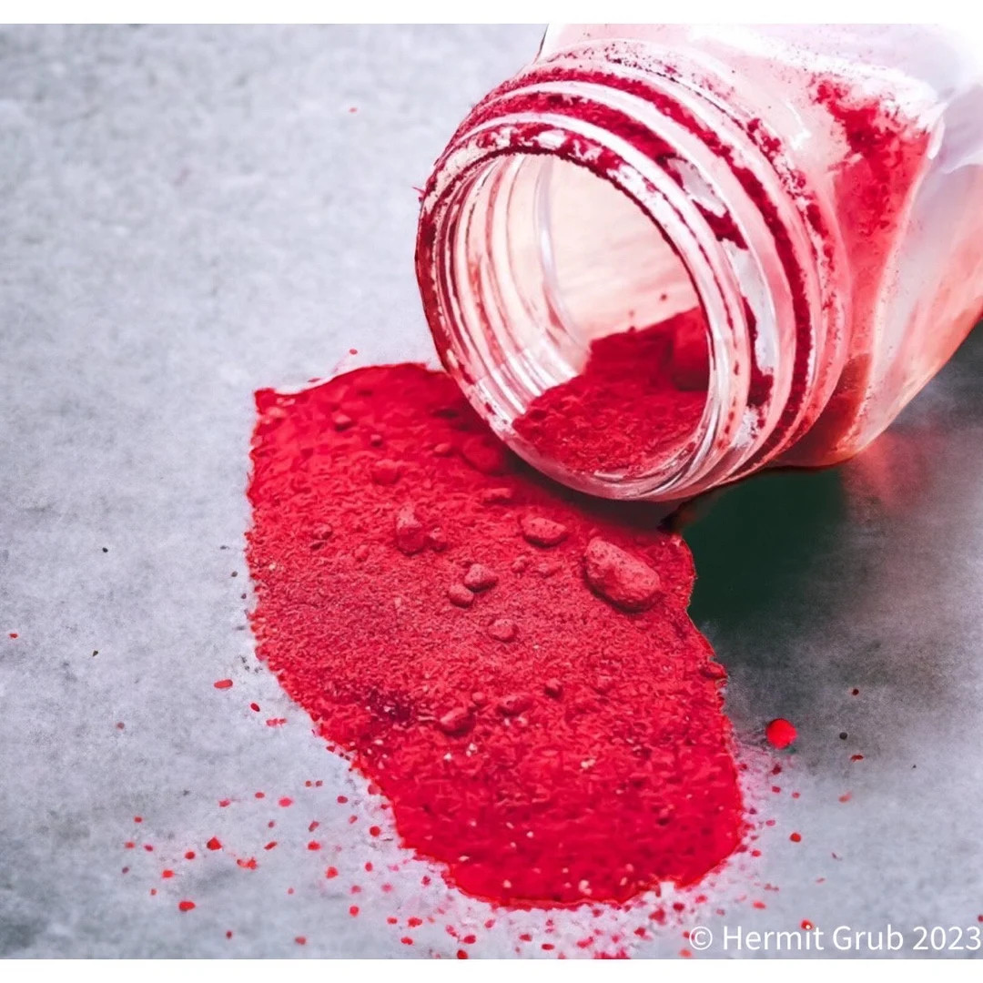 Beet Root Powder | Hermit Crab Food - Etsy | Etsy (US)