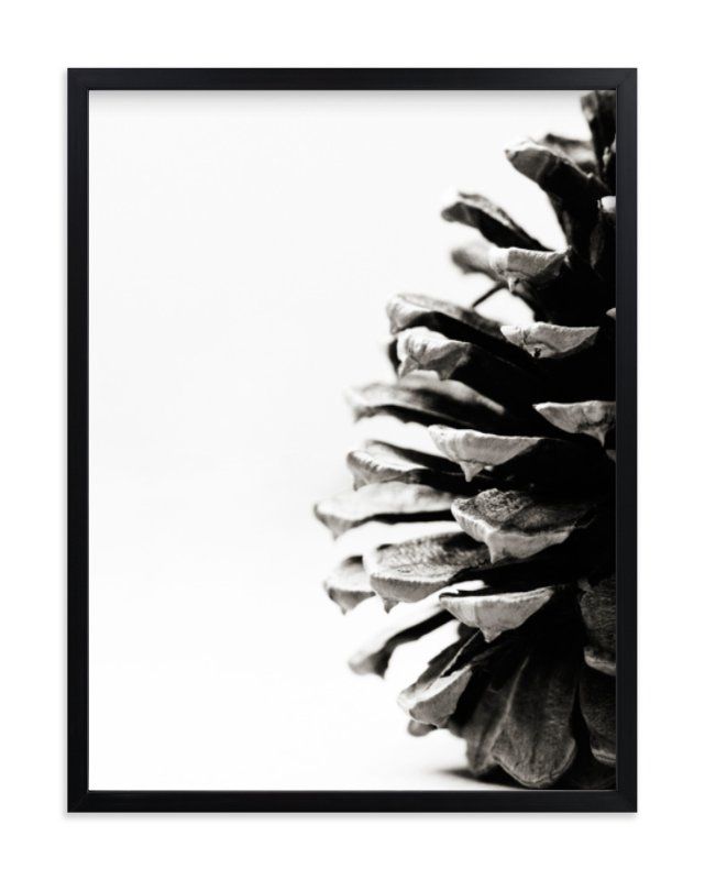 "Pine Cone" - Photography Limited Edition Art Print by Alexis Arnold. | Minted