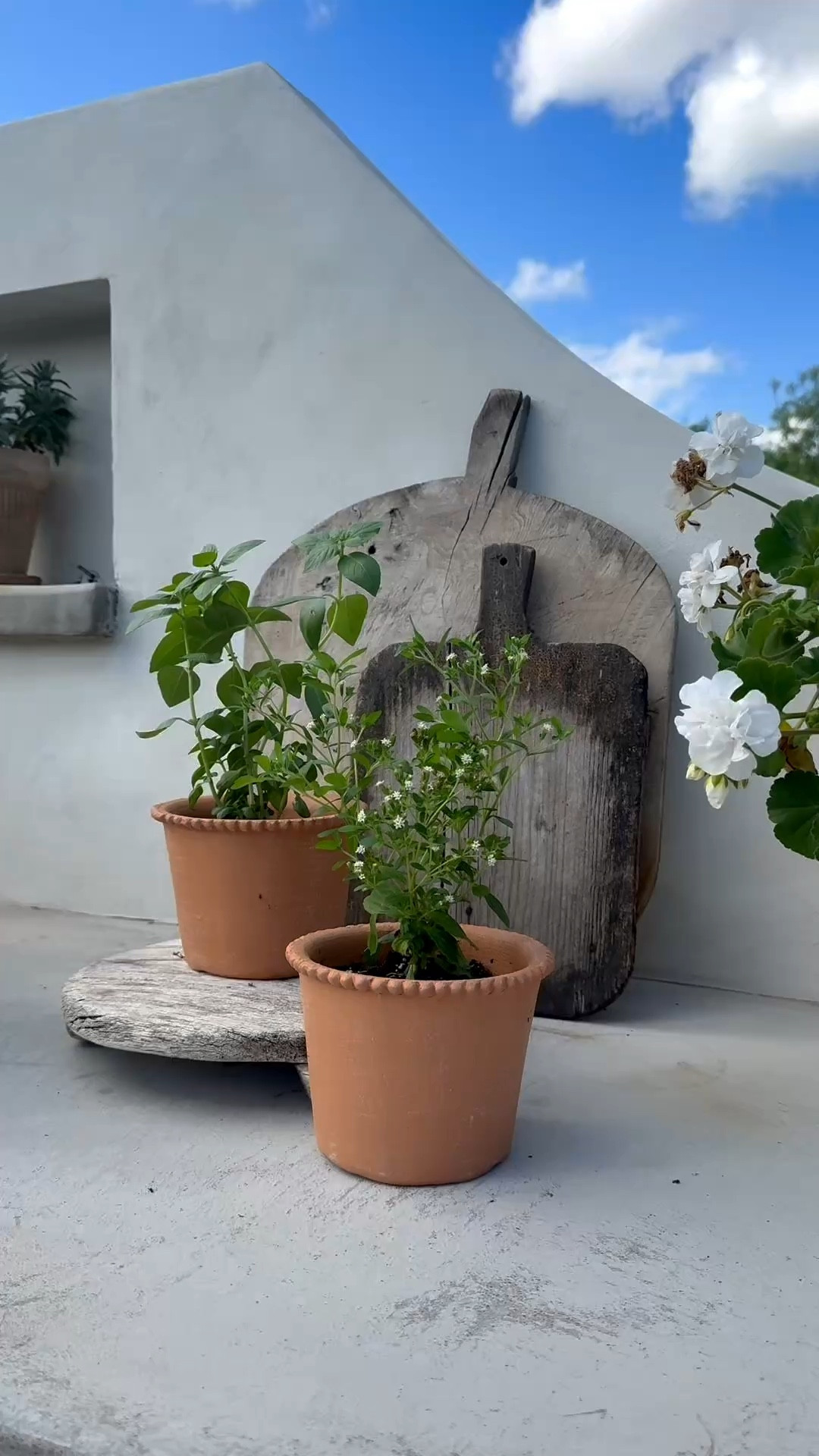 The CUTEST braided detail small planter pots. Perfect for herbs!!! I think I’ll do the garden lime trick on them tomorrow to make them look more aged! Outdoor kitchen. Herb garden. Spring. Patio  

#LTKSeasonal #LTKHome