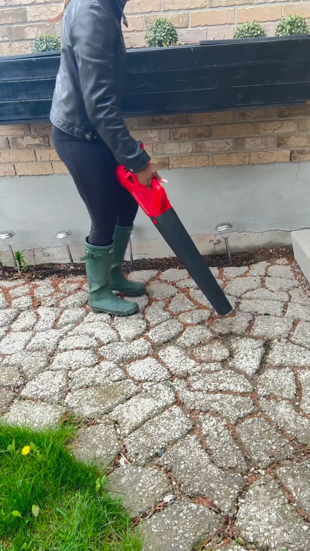 Craftsman Leaf Blower/Faux Ferns

#LTKVideo #LTKSeasonal #LTKhome