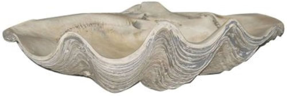 House Parts Large Clam Shell | Amazon (US)
