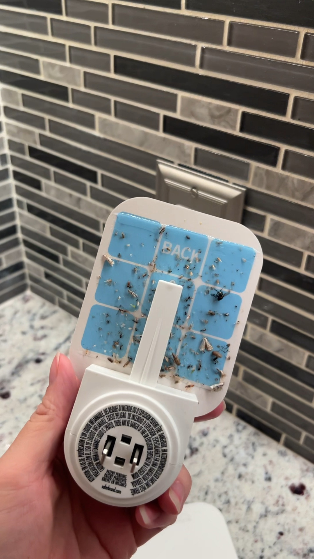 Safer Home | Amazon must have

Fly trap, affordable, plug in, two month use, two sticky pads, replacement, UV light, indoor, early prime day sale, less than $15

#LTKHome #LTKSeasonal #LTKFindsUnder50