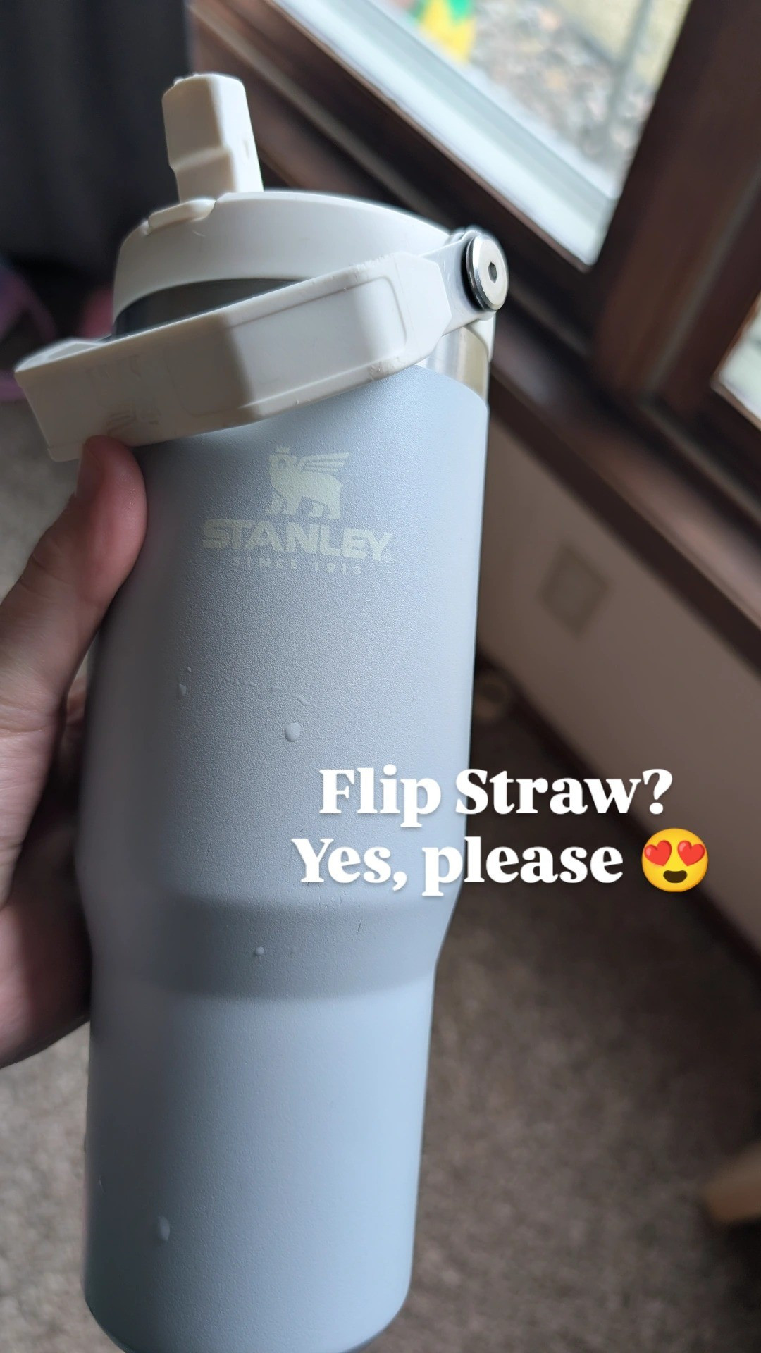 Stay hydrated in style 💧 The viral Stanley tumbler keeps drinks ice cold for hours—perfect for busy moms, on-the-go days, and everyday essentials ✨ #StanleyTumbler #HydrationGoals #LTKfinds

#LTKTravel #LTKU #LTKdayinmylife