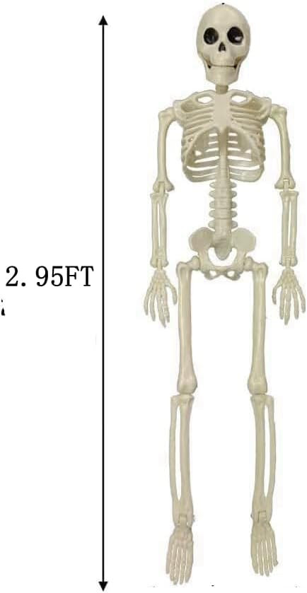 Halloween Skeleton Decorations Outdoor Indoor - 3FT Life-Size Poseable Skeleton, Realistic Spooky... | Amazon (US)