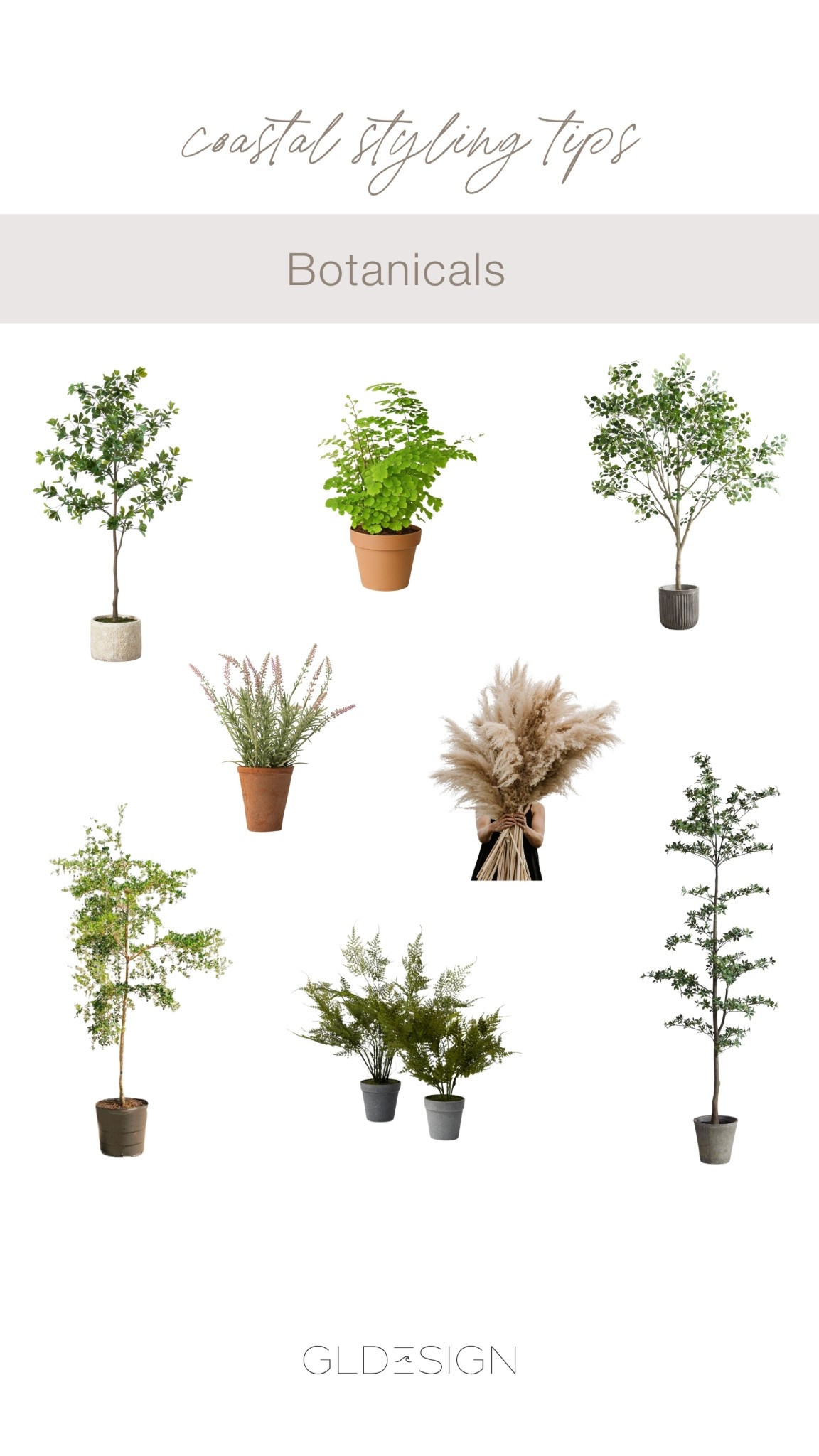 GLDESIGN Coastal Styling Tips
#GLDESIGN #LTKgreenery #LTKfauxplants #LTKplants

#LTKStyleTip #LTKHome