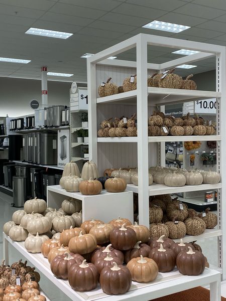 These affordable ceramic pumpkins and woven pumpkins are great for adding subtle fall decor to your home!

#LTKSeasonal #LTKunder50 #LTKhome