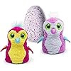 Hatchimals | Amazon (US)