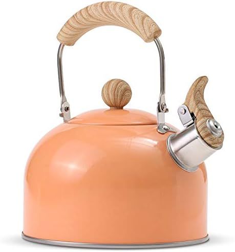 ROCKURWOK Tea Kettle, Stovetop Whistling Teapot, Stainless Steel, Honeydew, 2.43-Quart | Amazon (US)