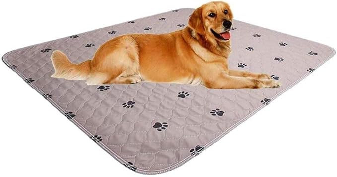 Washable Dog Pee Pads 36X54,Puppy Pads,Reusable Pet Training Pads,Waterproof Pet Pads for Dog Bed... | Amazon (US)