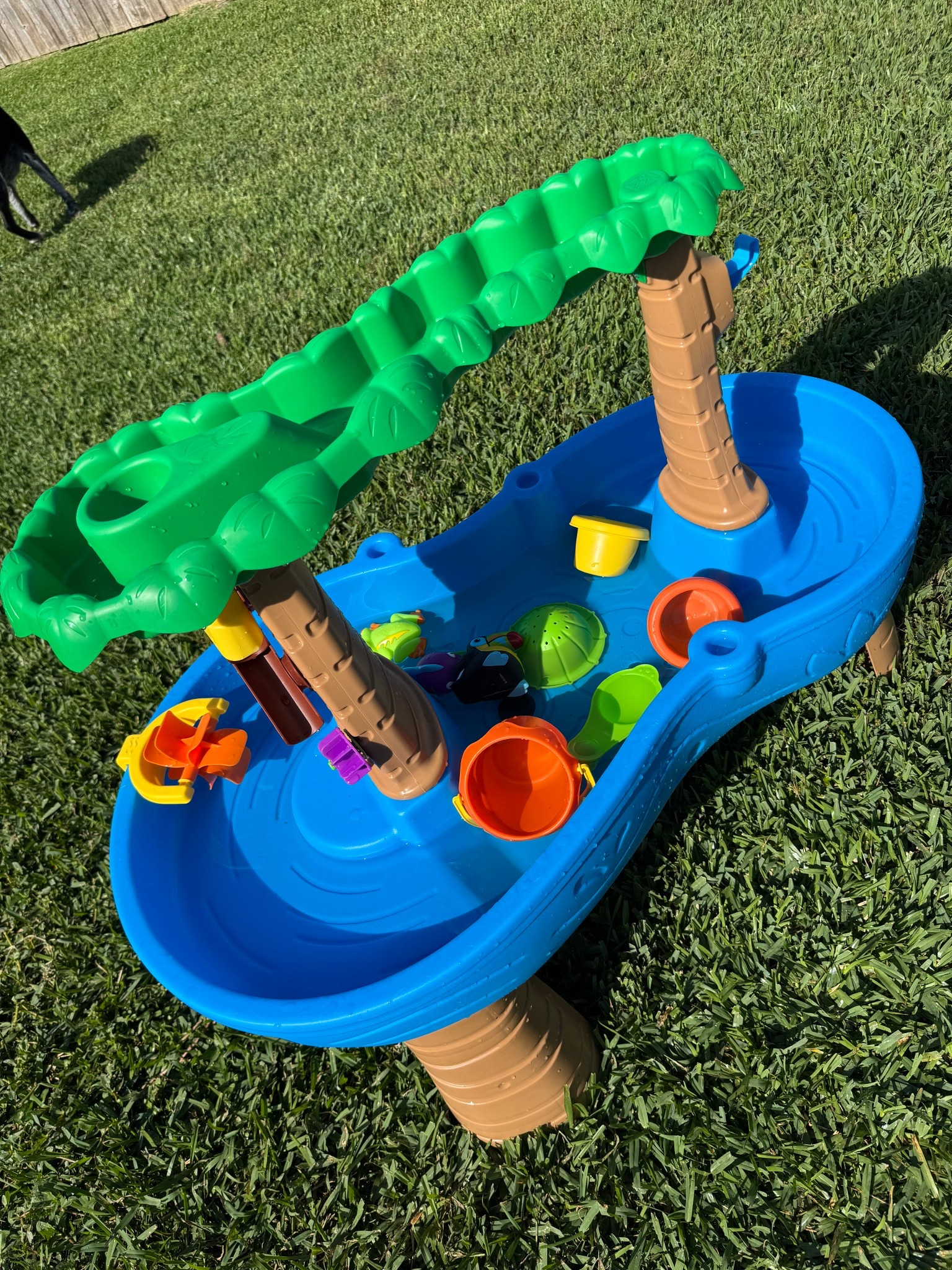 best toddler purchase ever 💦 🌞 

#LTKKids #LTKFamily #LTKBaby