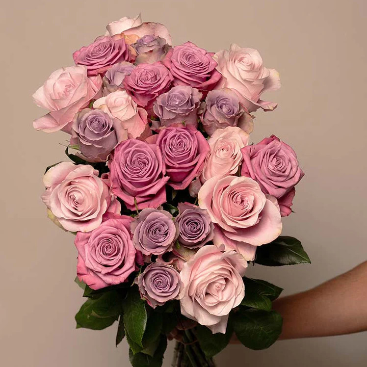 Cheshyre Pink Rose Bouquet | Pink Roses Delivery – Rosaholics | Rosaholics (US)