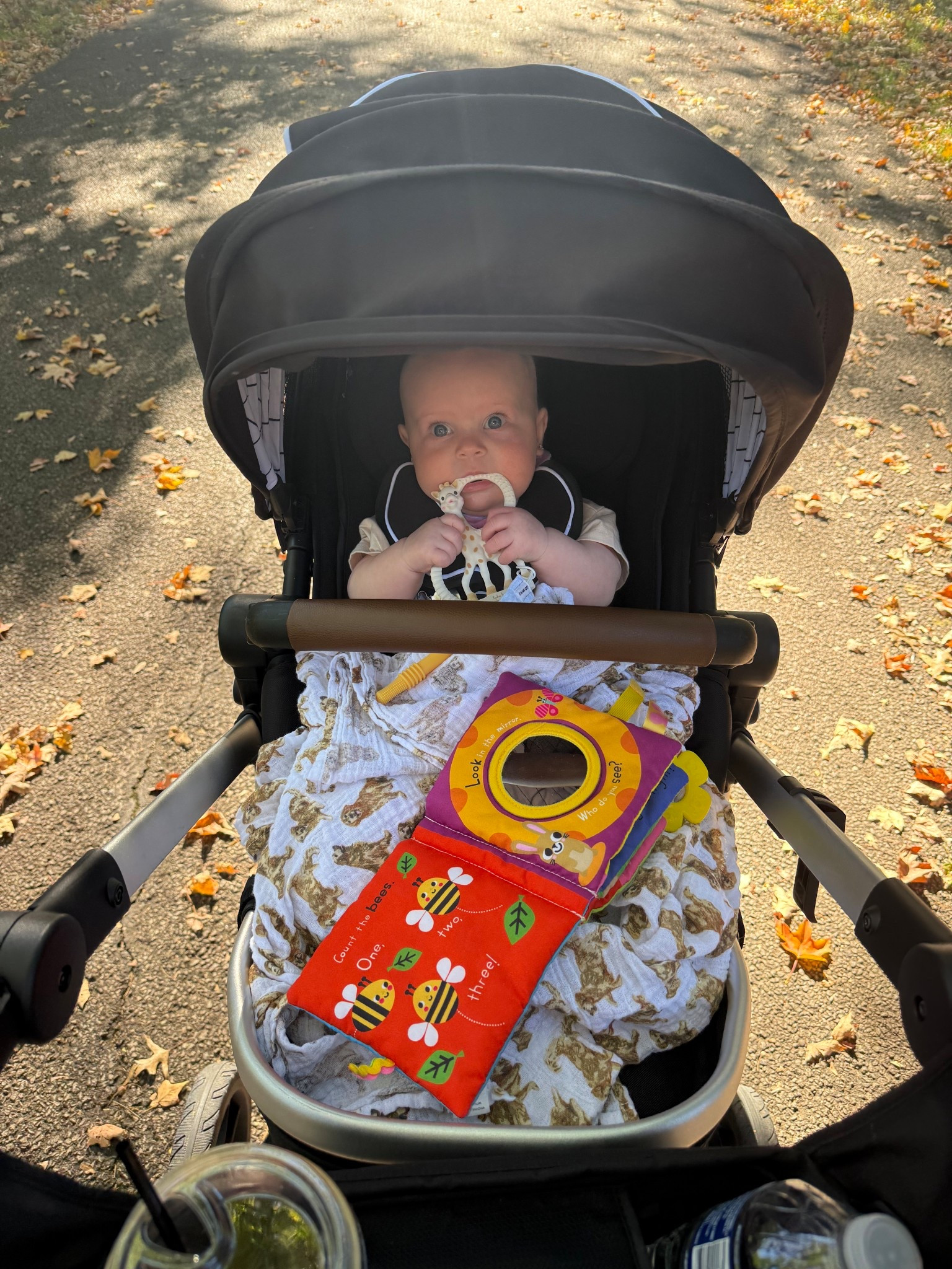 When I say that I would buy 47 of these Sofie giraffe toys- I mean it. 
Quite literally the only thing that will get Charlee to relax while she is cutting two teeth at once 😵‍💫

#teethers #teethingbaby #infant #girlmom #babymusthaves #stroller

#LTKBaby #LTKBump #LTKFamily