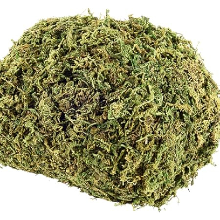 Riare 7OZ Artificial Fake Moss for Fake Plants Indoor- Premium Faux Craft Moss for Potted Plant, ... | Amazon (US)