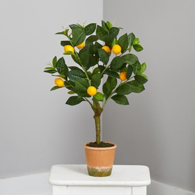 24" Lemon Artificial Tree, Green | Ashley Homestore
