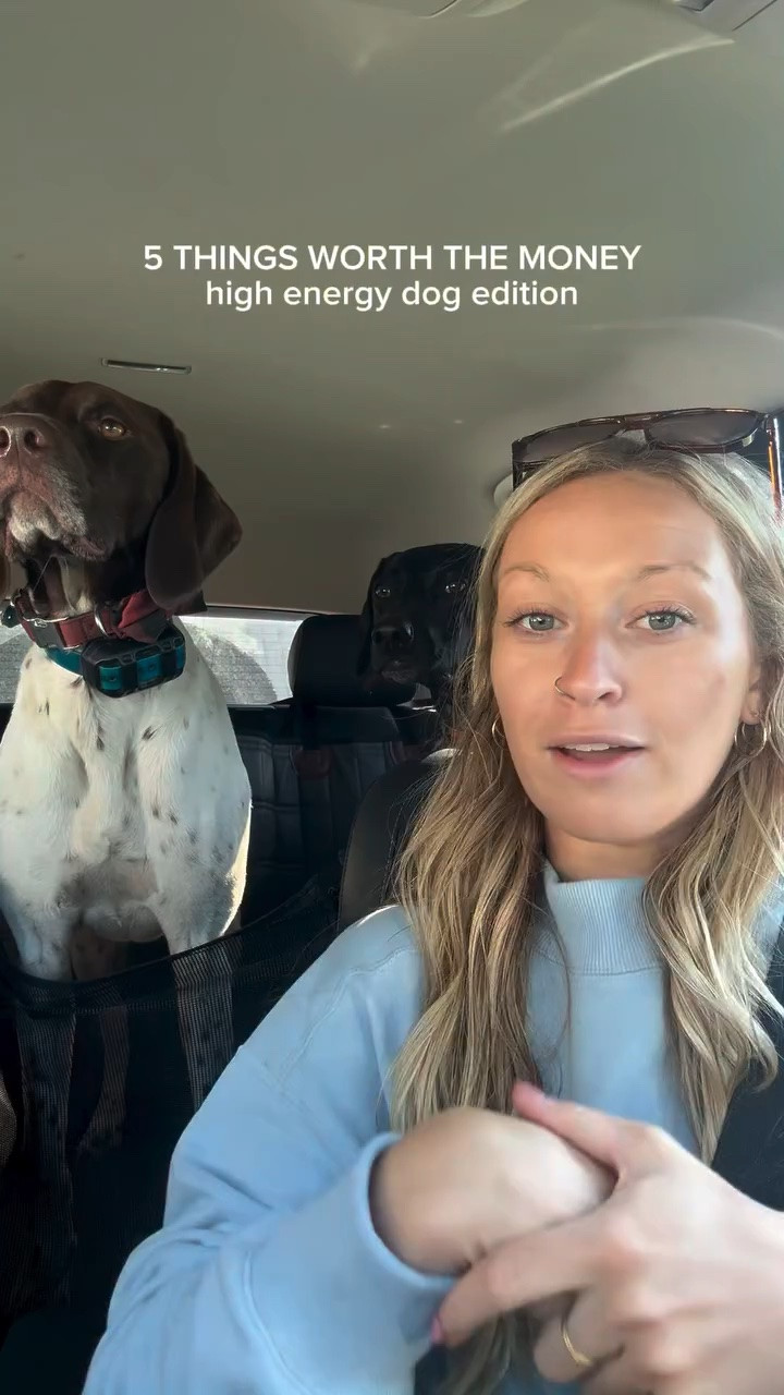 What did I miss?!? Drop your list below! 

#dog #dogmom #doglife #highenergydog