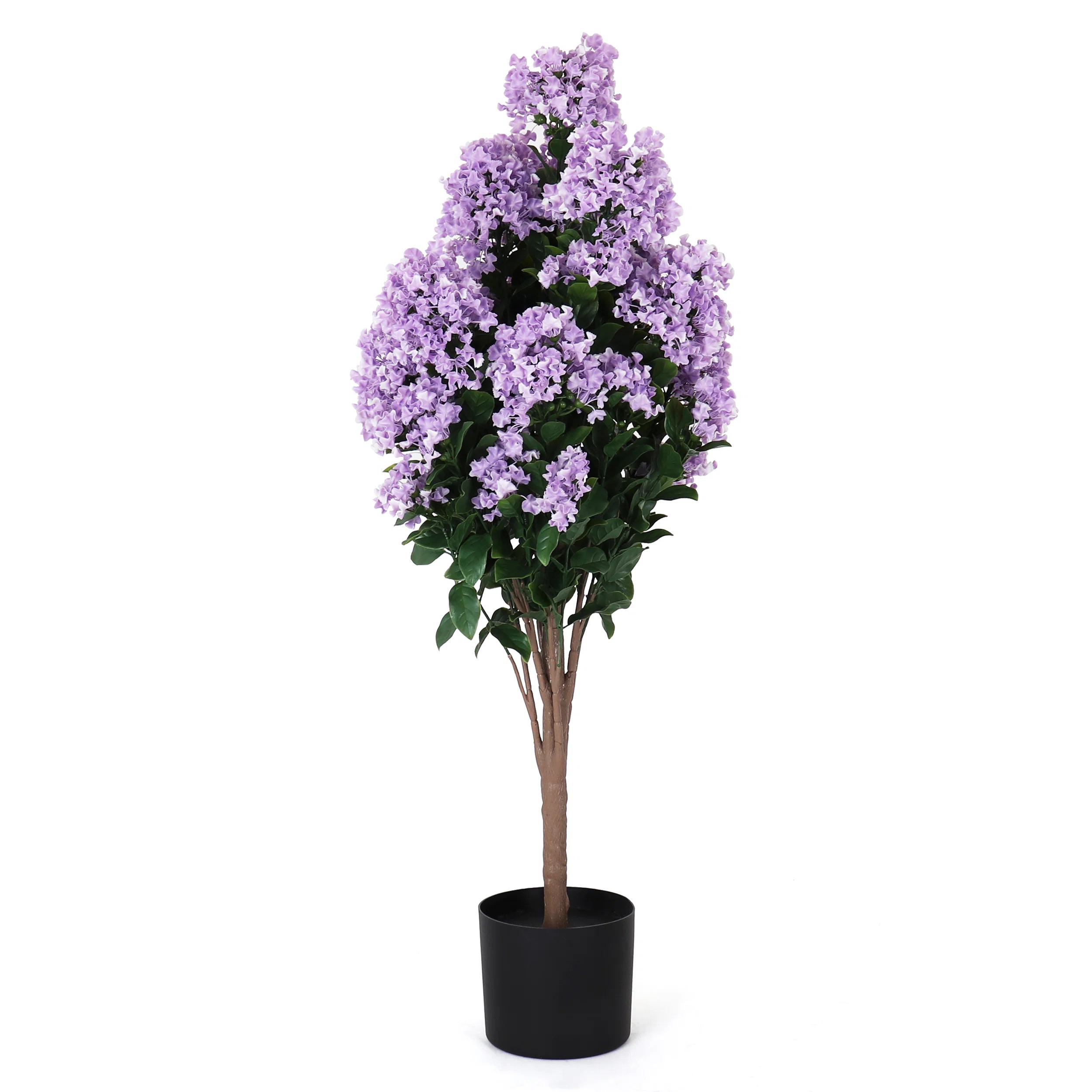 Potted Lilac - Medium | Wayfair North America