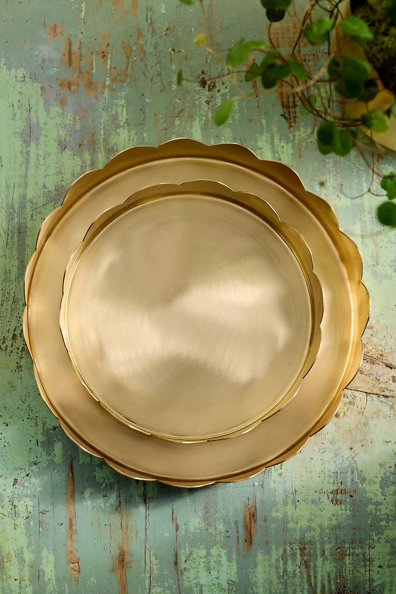 Scallop Edge Polished Brass Saucer | Terrain