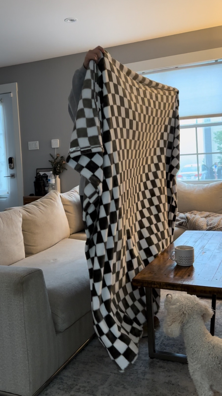 Can’t go wrong with a cozy checkered flannel blanket

#LTKFind #LTKxPrimeDay #LTKhome