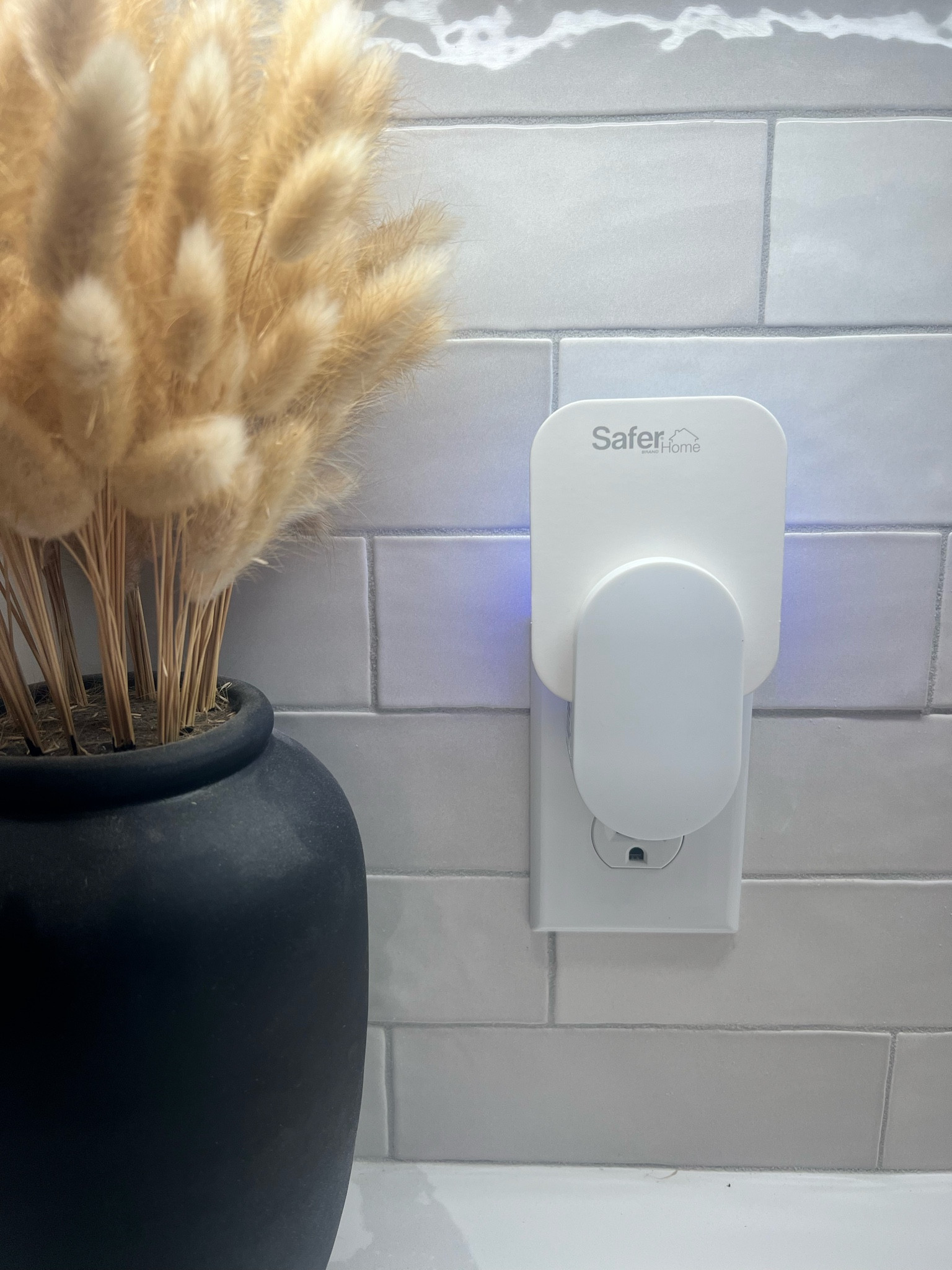 The best nontoxic fly traps!! It works so well.

#LTKFindsUnder50 #LTKHome #LTKSeasonal